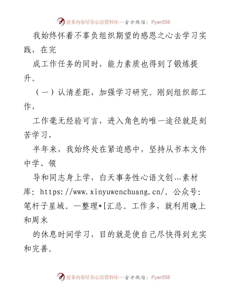 [工作总结] 挂职干部 - 挂职工作学习与能力提升总结.docx_第2页