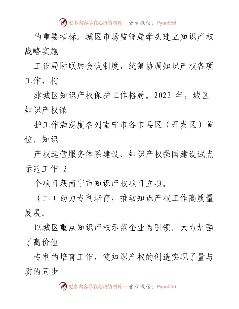 [工作总结] 知识产权保护 - X区2023年度知识产权保护工作成效总结.docx_第2页