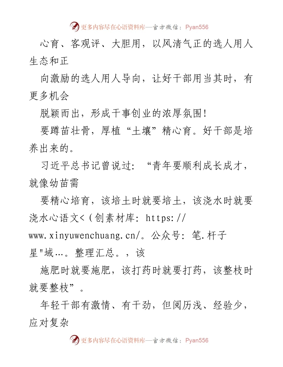 [工作总结] 组织工作会议 - 培养选拔好干部的重要性与实践路径.docx_第2页