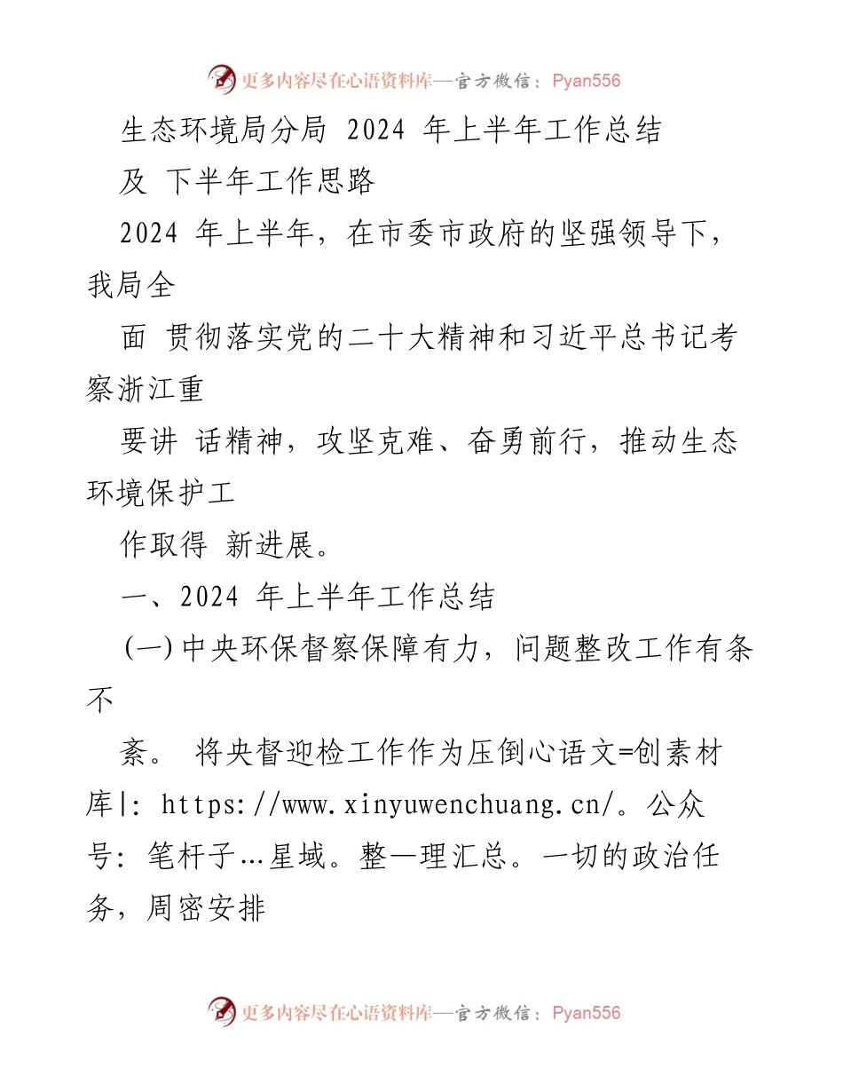[工作总结] 生态环境局分局 - 2024年上半年工作总结与下半年工作思路.docx_第1页