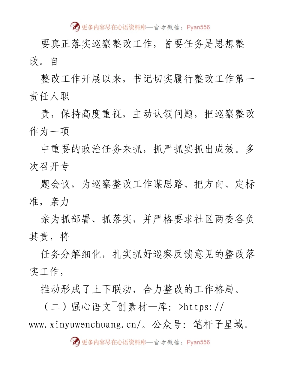 [工作总结] 社区党总支部 - 巡察整改工作进展报告.docx_第2页