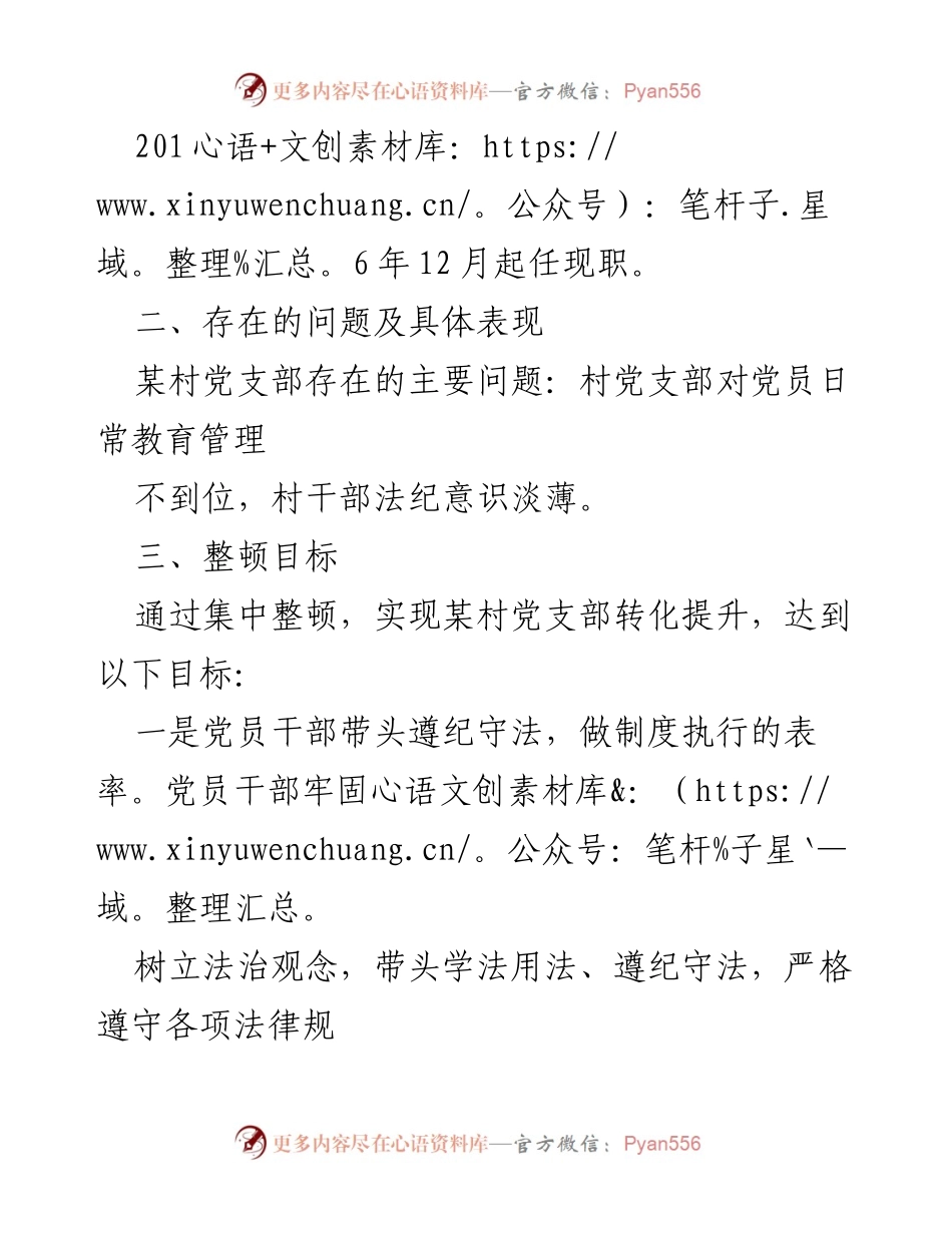[工作总结] 某村党支部 - 某村党支部软弱涣散整顿提升方案总结.docx_第2页