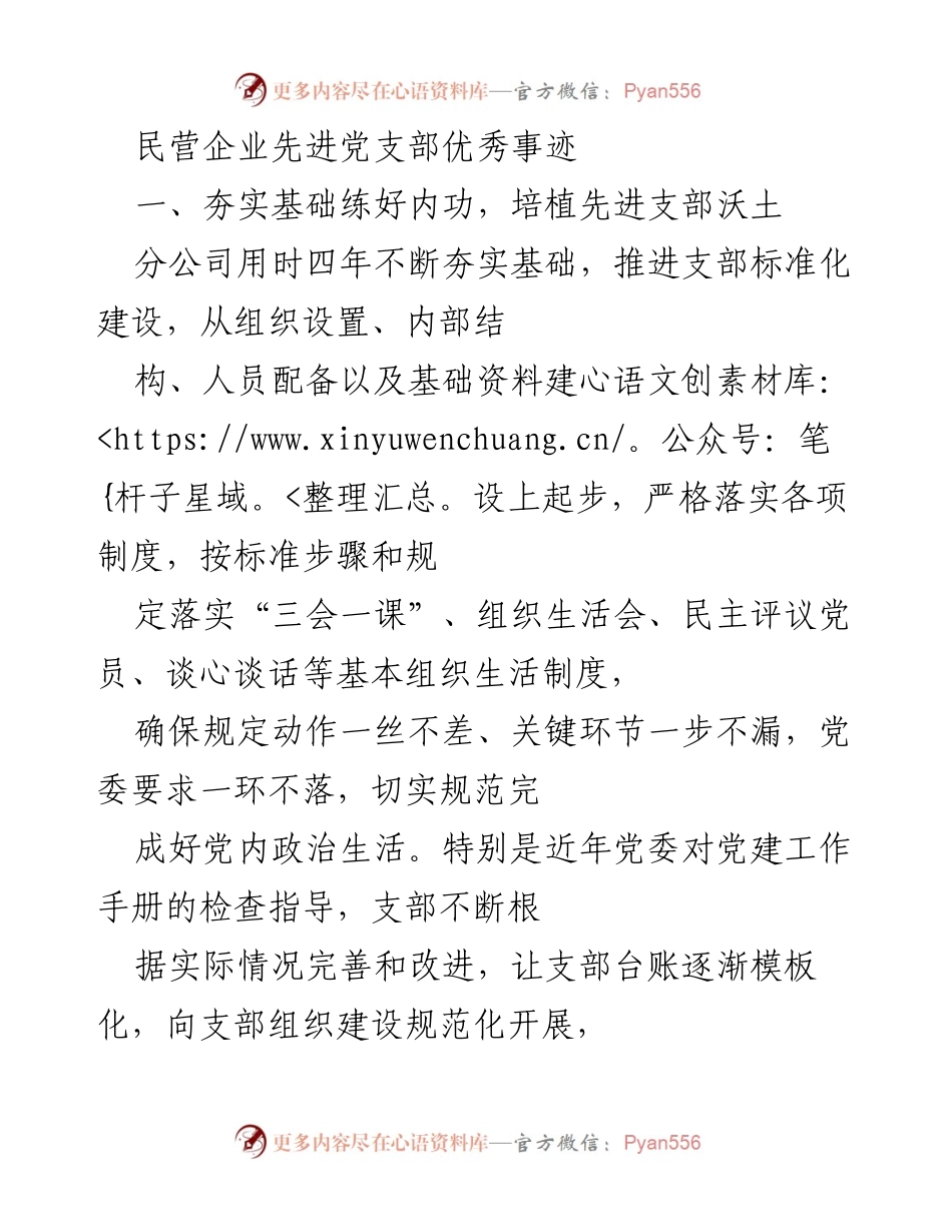 [工作总结] 民营企业党建 - 民营企业党支部建设经验总结.docx_第1页