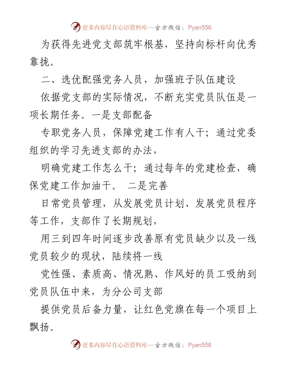 [工作总结] 民营企业党建 - 民营企业党支部建设经验总结.docx_第2页