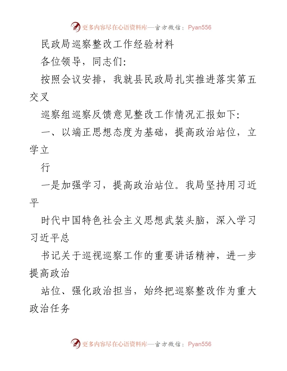[工作总结] 民政局巡察整改 - 民政局巡察整改工作经验总结报告.docx_第1页