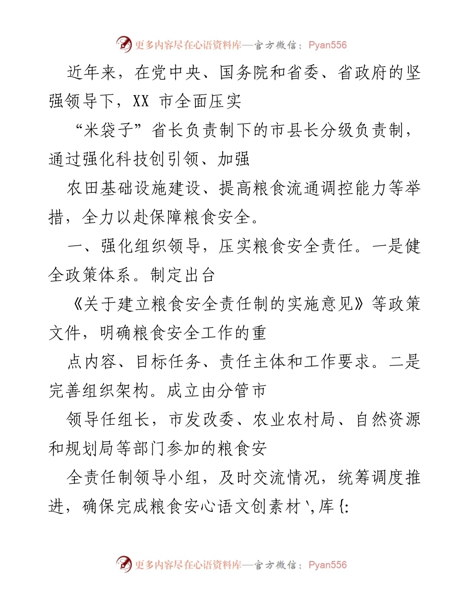 [工作总结] 粮食安全保障 - XX市粮食安全工作总结与成效分析.docx_第1页