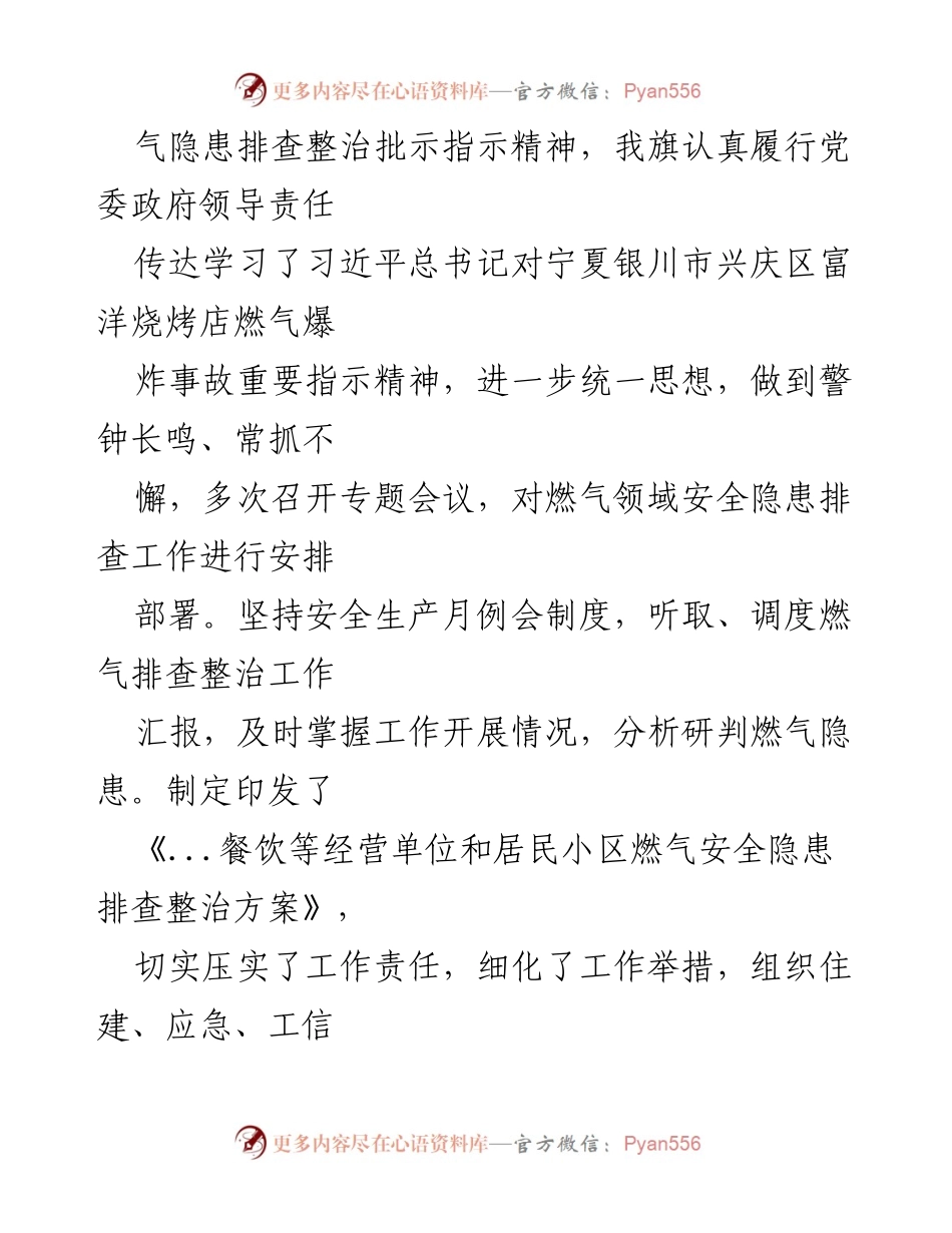 [工作总结] 燃气安全隐患排查 - 燃气领域安全排查整治工作开展情况总结.docx_第2页