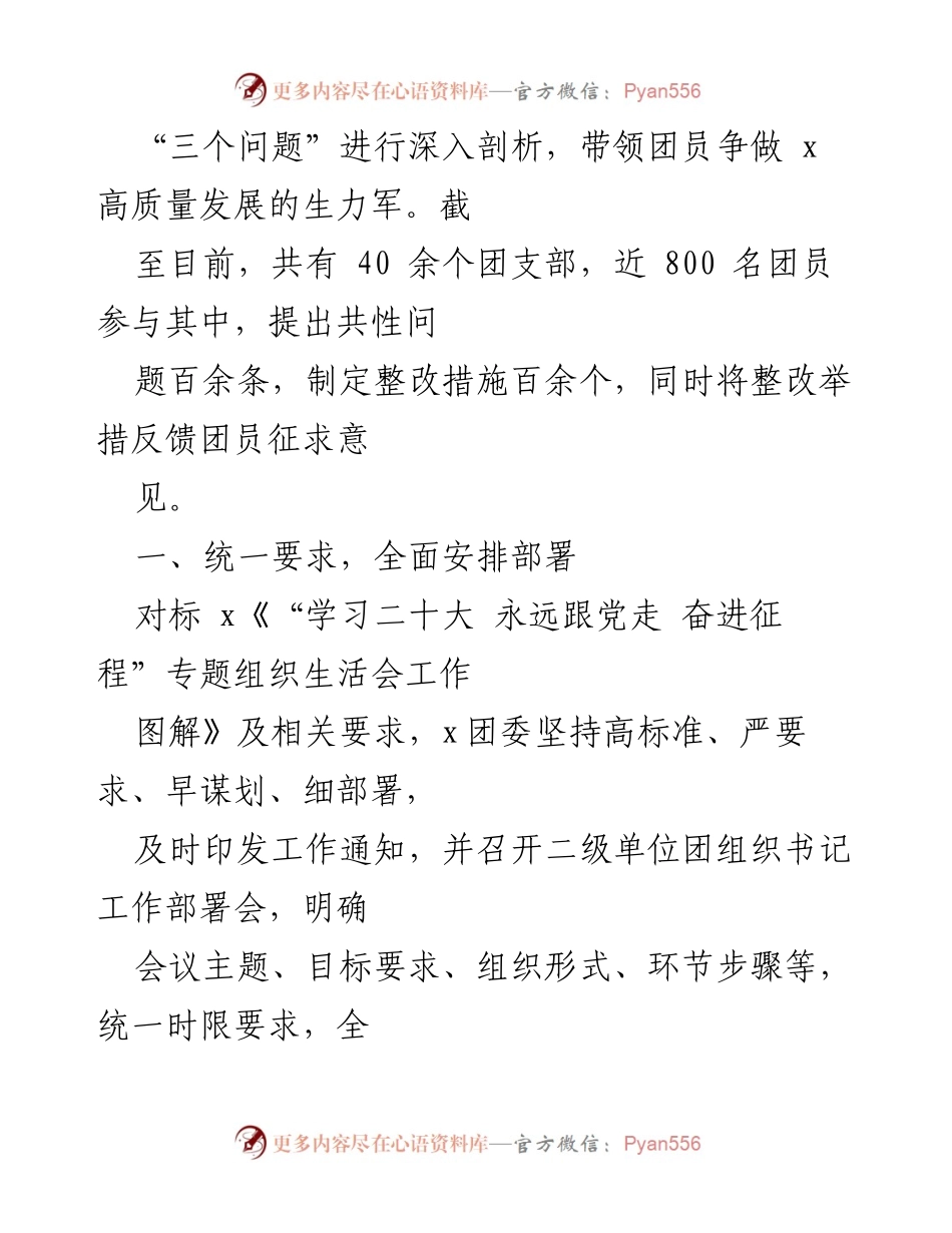 [工作总结] 组织生活会 - 2022年共青团组织生活会开展情况汇报.docx_第2页