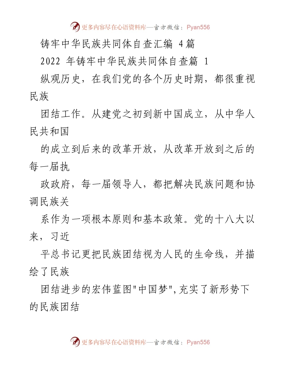 [工作总结] 民族团结工作 - 加快民族地区发展，铸牢中华民族共同体.docx_第1页