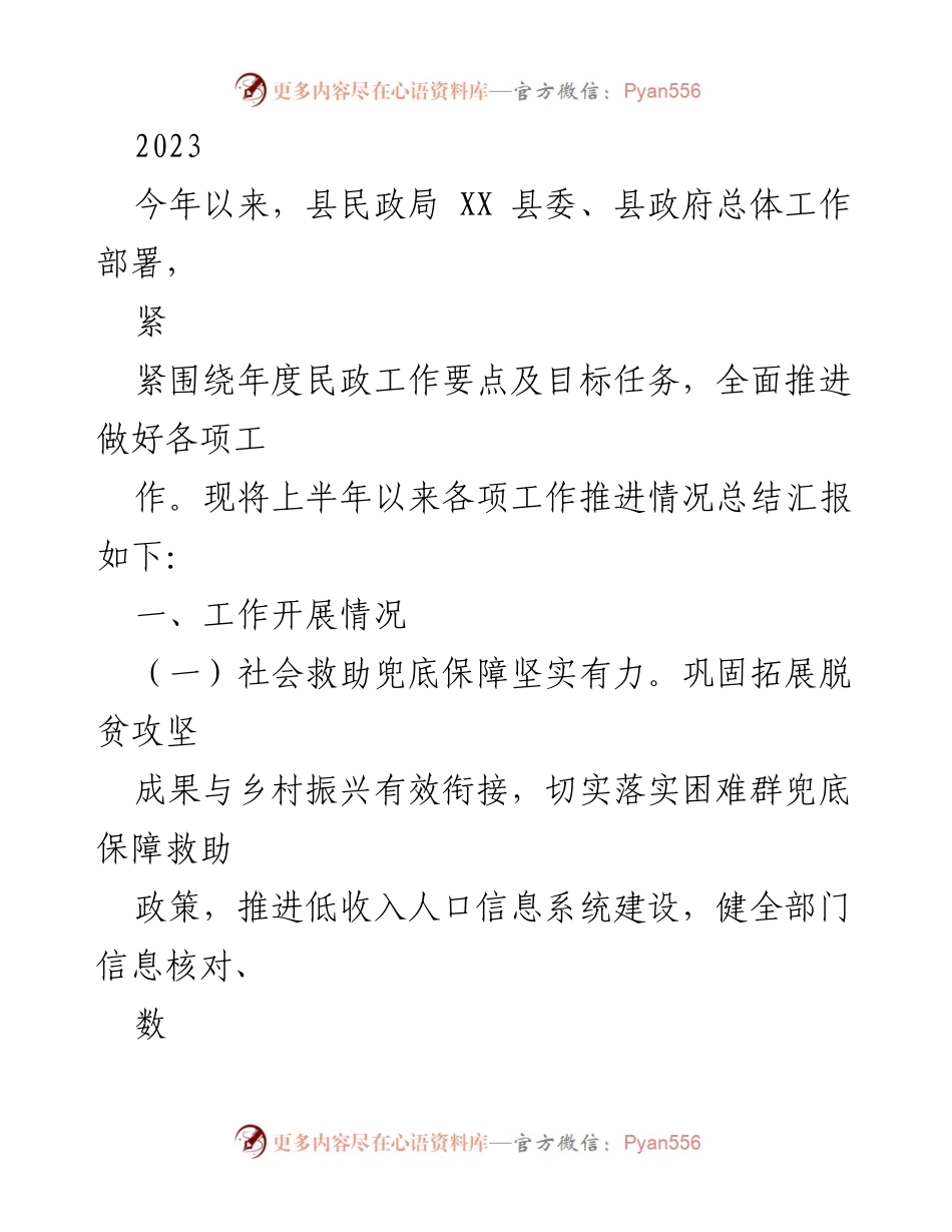 [工作总结] 民政局 - 2023年上半年民政工作推进情况总结报告.docx_第1页
