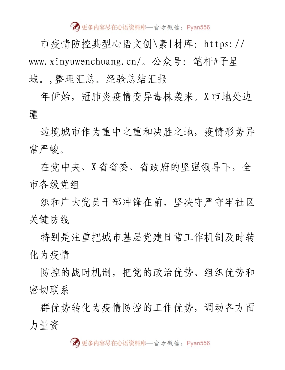 [工作总结] 疫情防控 - X市疫情防控典型经验总结报告.docx_第1页