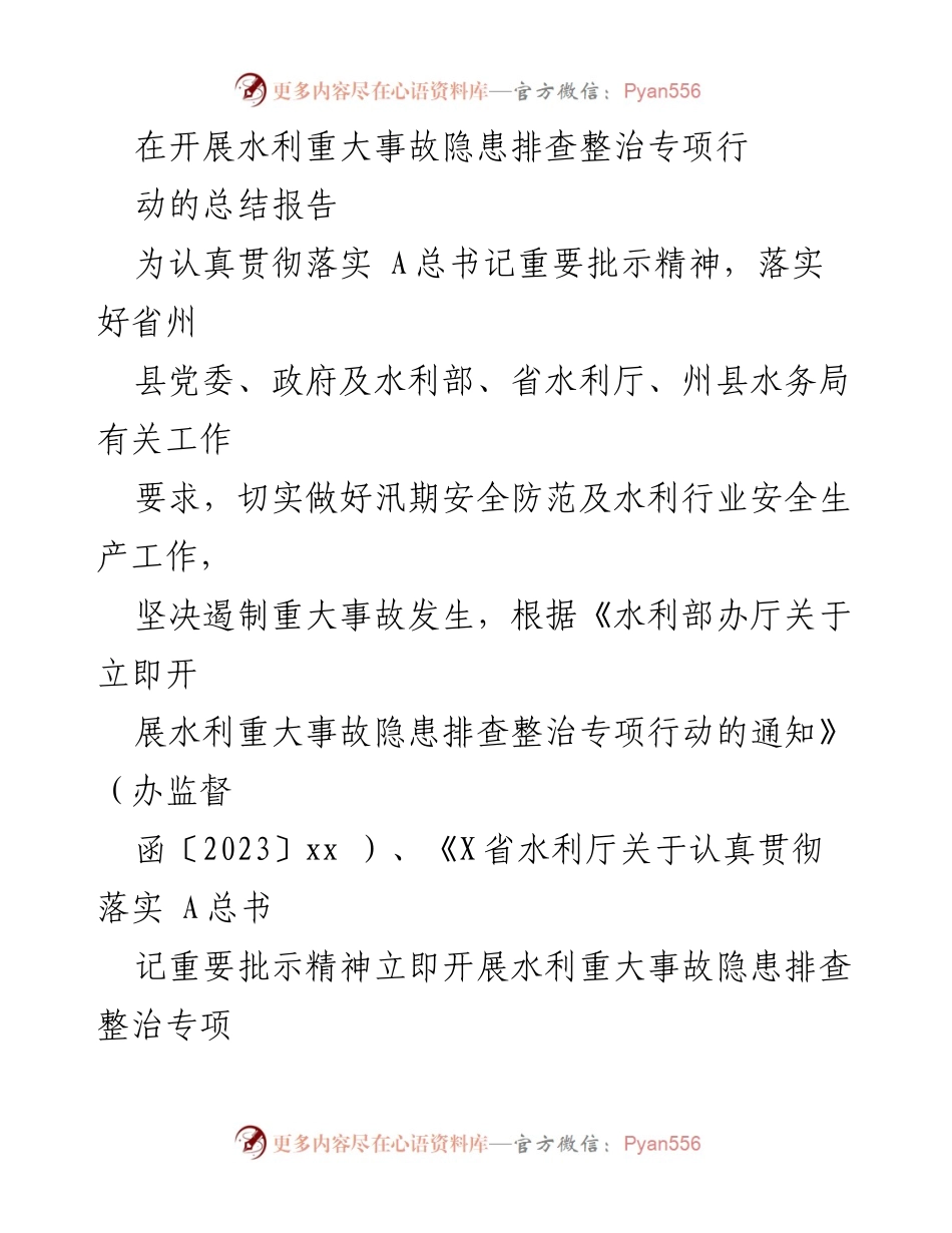 [工作总结] 水利行业 - 水利重大事故隐患排查整治专项行动总结报告.docx_第1页