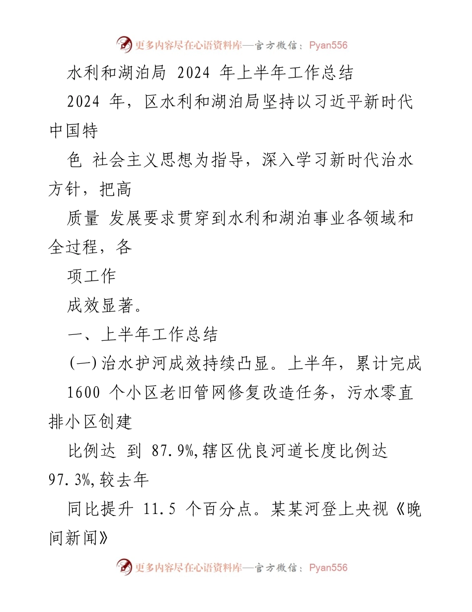 [工作总结] 水利和湖泊局 - 2024年上半年工作成效与下半年计划总结.docx_第1页