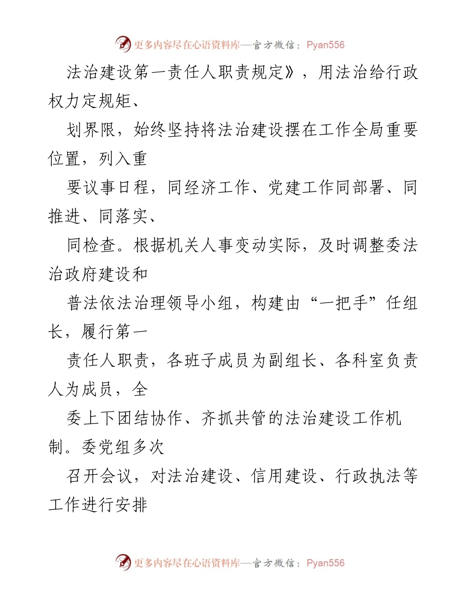 [工作总结] 法治政府建设 - 2024年法治政府建设工作总结报告.docx_第2页