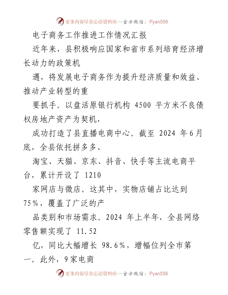 [工作总结] 电子商务推进会议 - 电子商务发展成效与品牌建设工作总结.docx_第1页