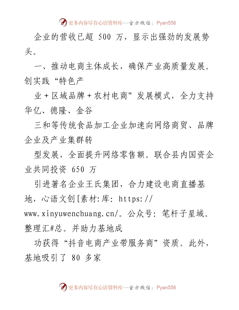 [工作总结] 电子商务推进会议 - 电子商务发展成效与品牌建设工作总结.docx_第2页