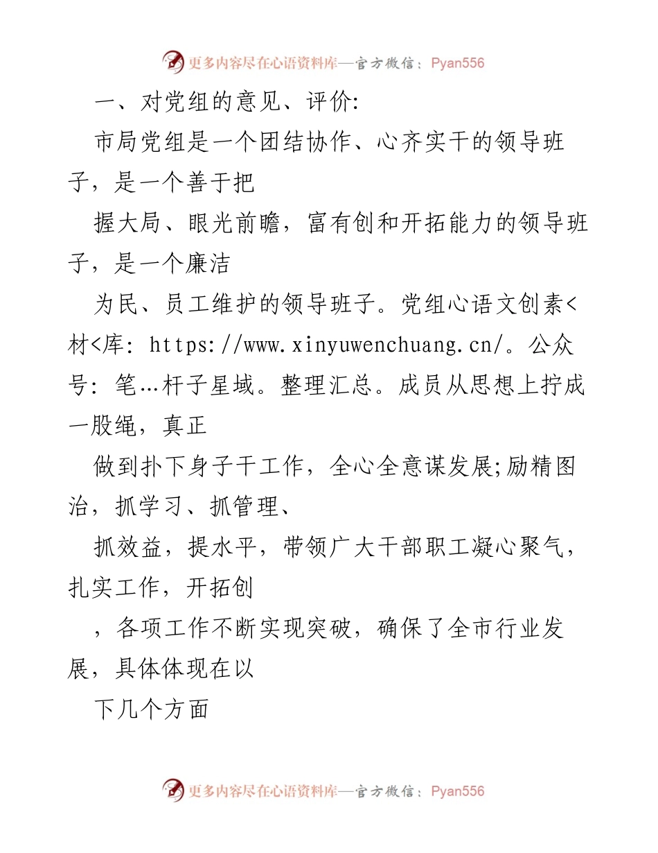 [工作总结] 民主生活会 - 市局党组工作评价与建议.docx_第1页