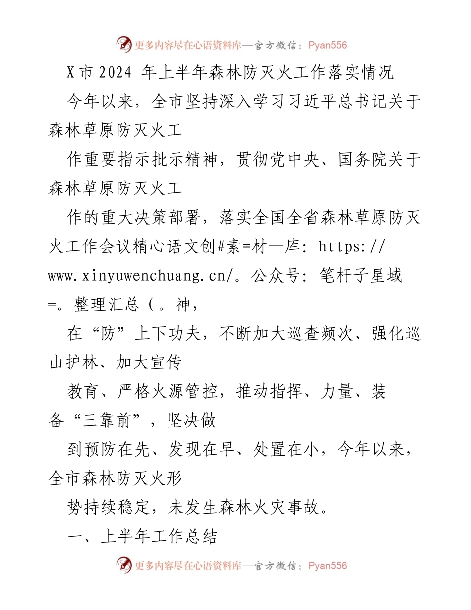 [工作总结] 森林防灭火工作 - X市2024年上半年森林防灭火工作落实情况.docx_第1页