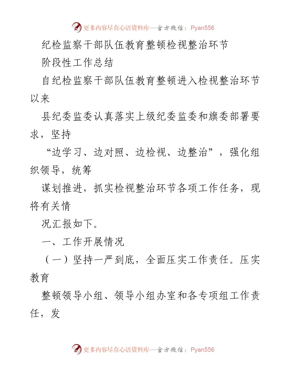 [工作总结] 纪检监察干部队伍教育整顿 - 检视整治环节阶段性工作总结.docx_第1页