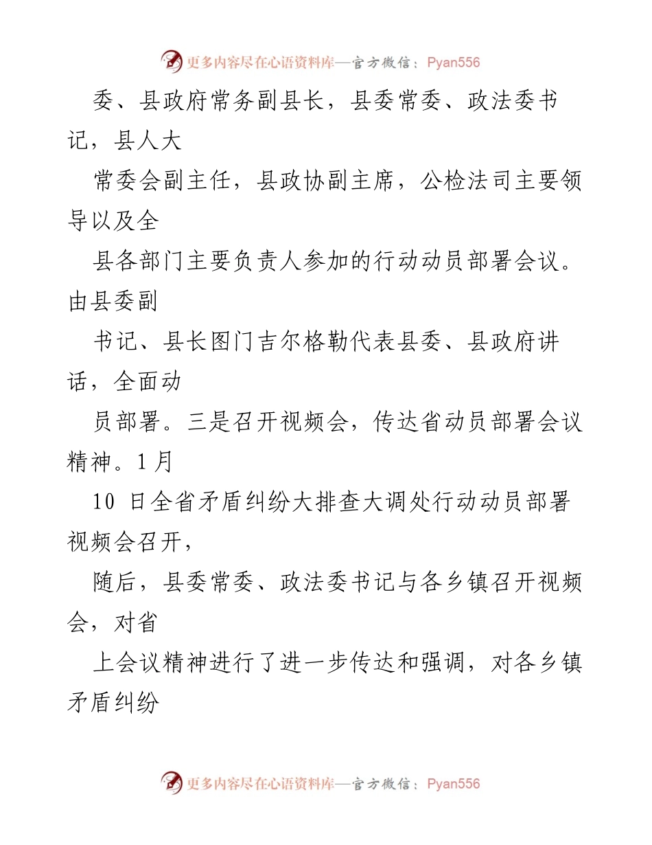 [工作总结] 矛盾纠纷大排查大调处行动动员 - XXX县矛盾纠纷大排查大调处行动部署情况汇报.docx_第2页