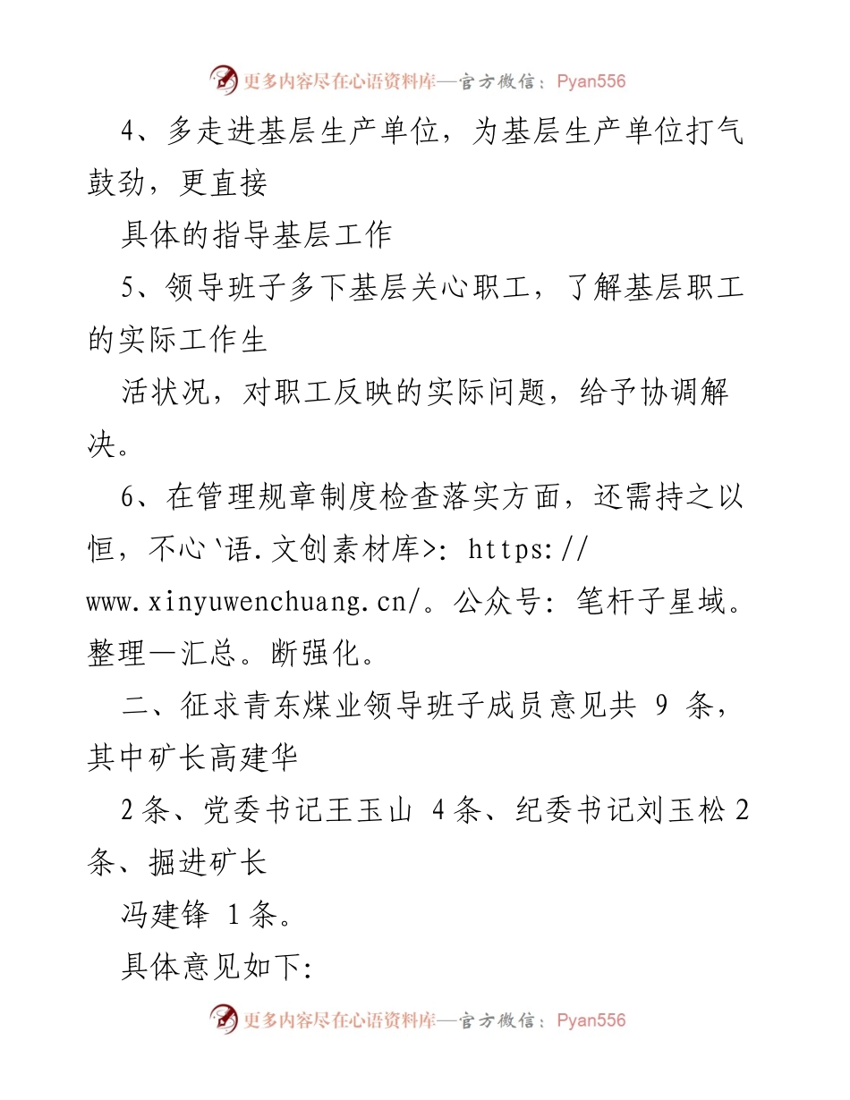 [工作总结] 煤业领导班子安全专题民主生活会 - 征求意见汇总及改进建议.docx_第2页