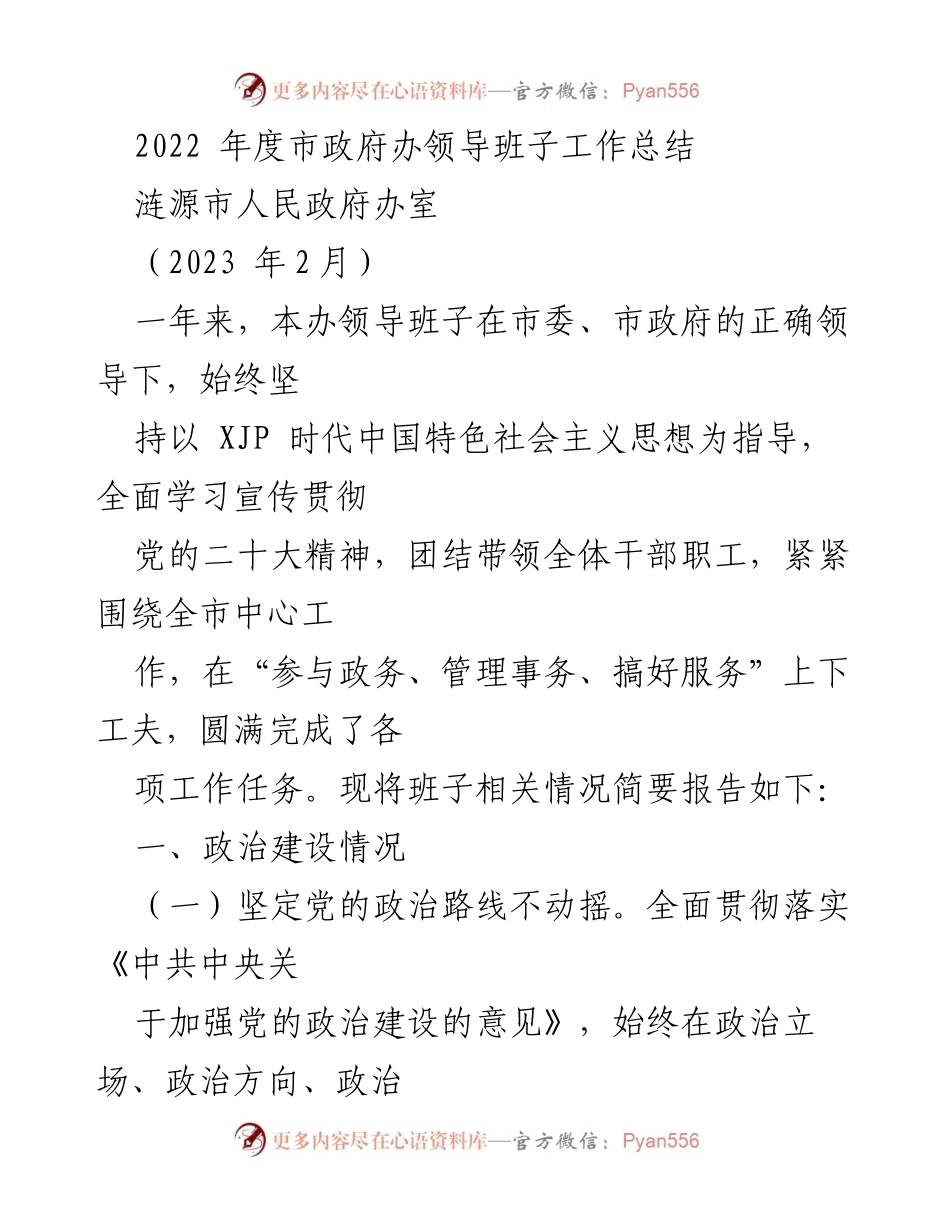[工作总结] 涟源市人民政府办 - 2022年度领导班子工作总结报告.docx_第1页