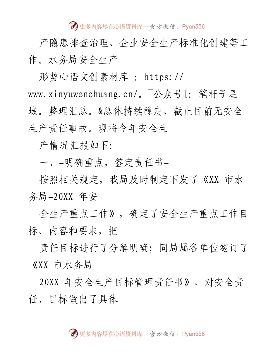 [工作总结] 水务局 - XX市水务局20XX年安全生产工作情况汇报.docx_第2页
