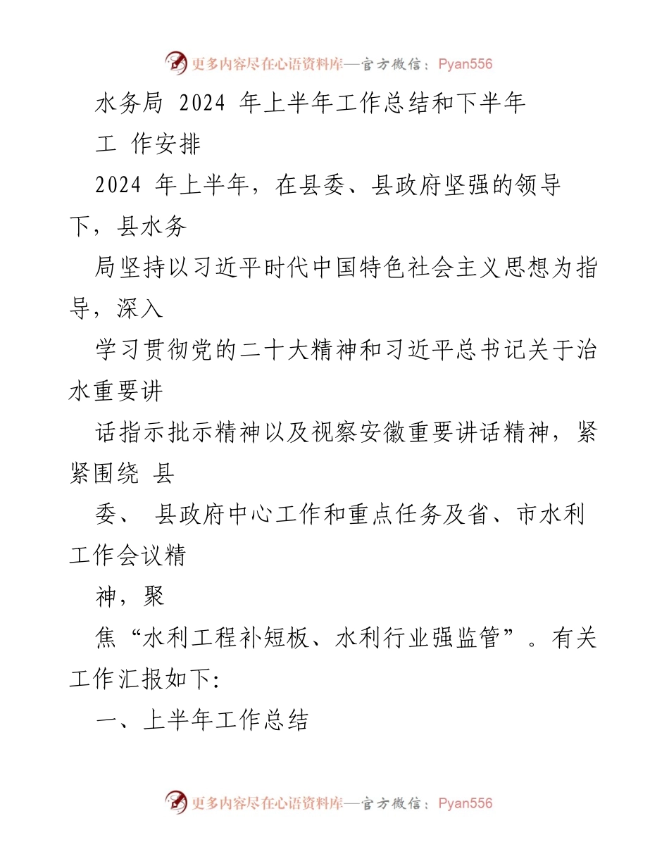 [工作总结] 水务局 - 2024年上半年工作总结与下半年安排.docx_第1页