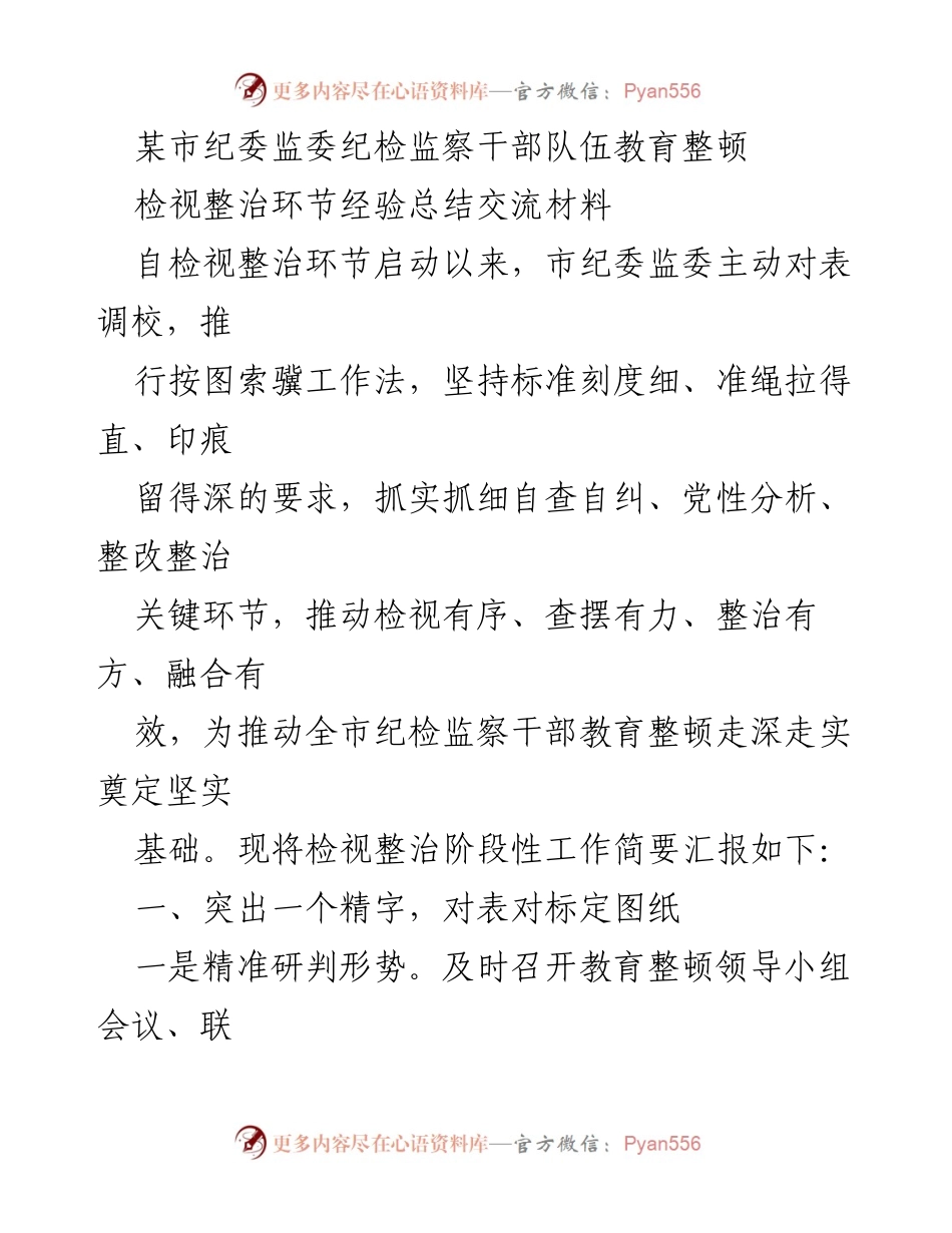 [工作总结] 纪检监察干部教育整顿 - 精准施策，深化自查：某市纪委监委教育整顿经验总结.docx_第1页