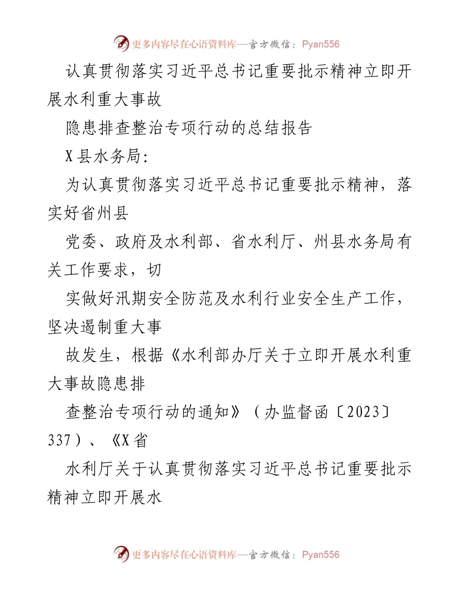 [工作总结] 水利安全隐患排查 - 水利重大事故隐患排查整治专项行动总结报告.docx_第1页