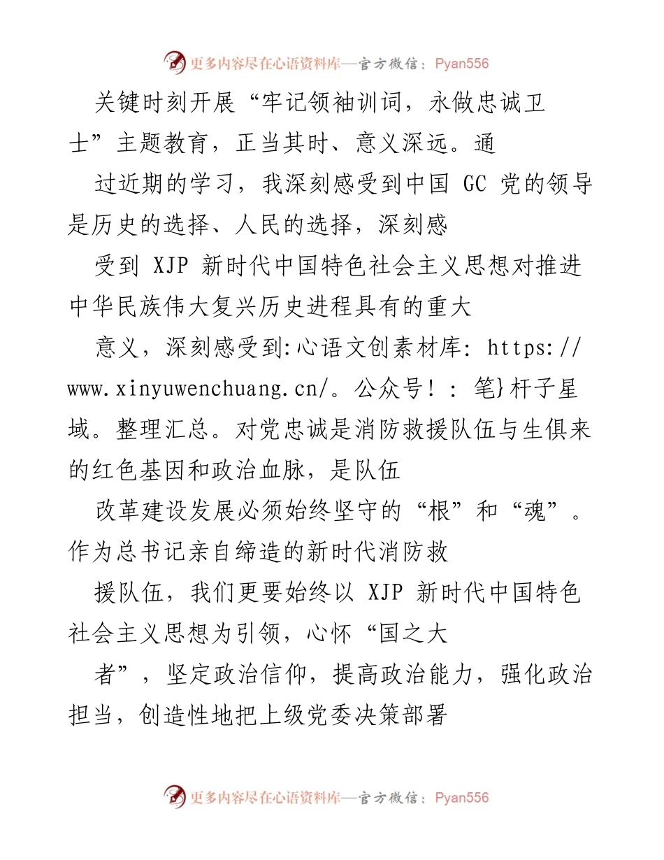 [工作总结] 消防救援队伍 - 牢记领袖训词，永做忠诚卫士主题教育的收获与思考.docx_第2页