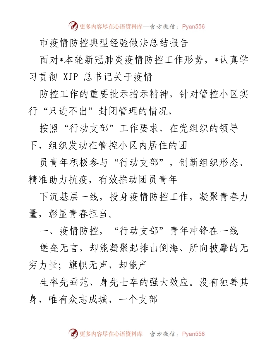 [工作总结] 疫情防控 - 市疫情防控行动支部典型经验总结报告.docx_第1页