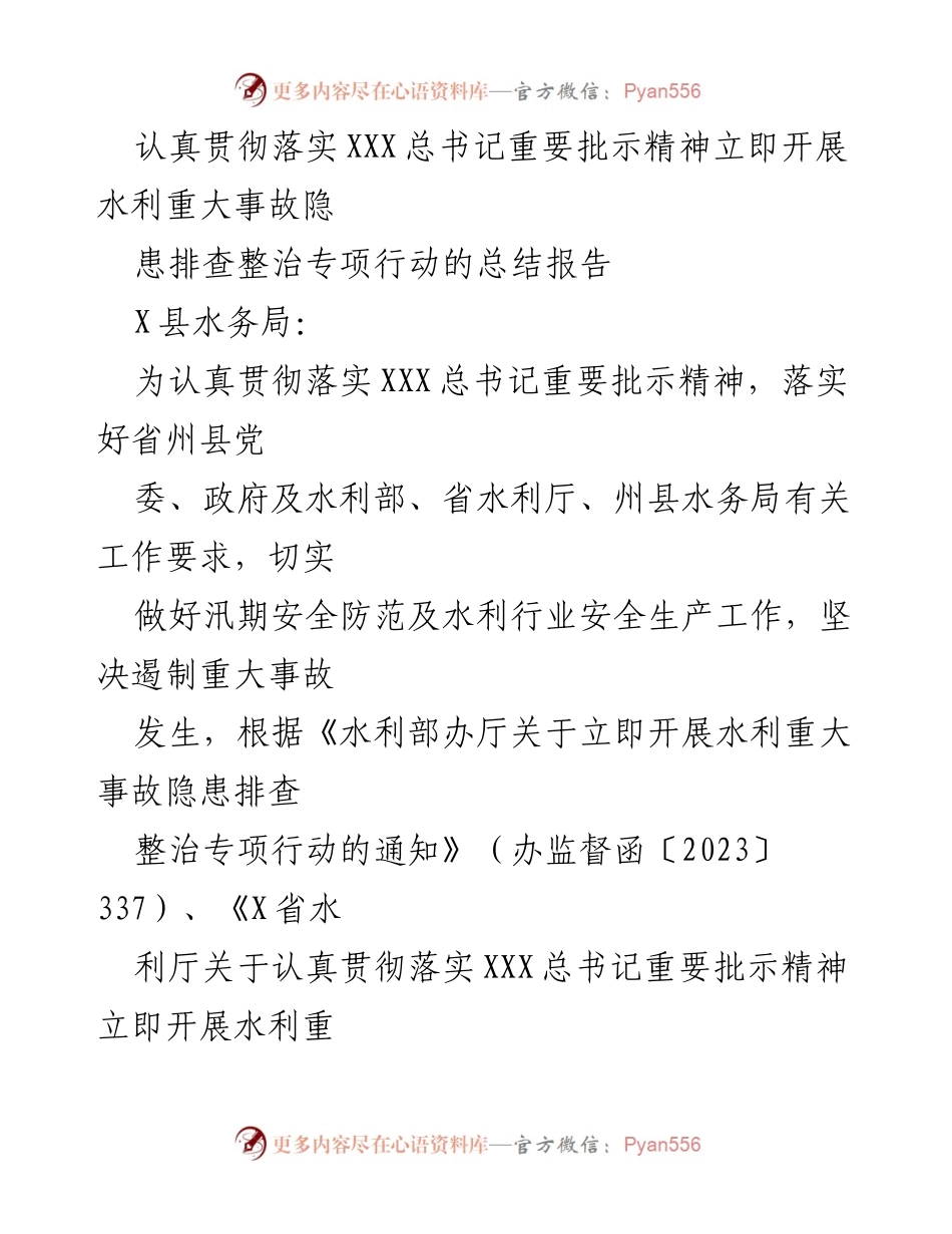 [工作总结] 水利安全专项行动 - 水利重大事故隐患排查整治专项行动总结报告.docx_第1页