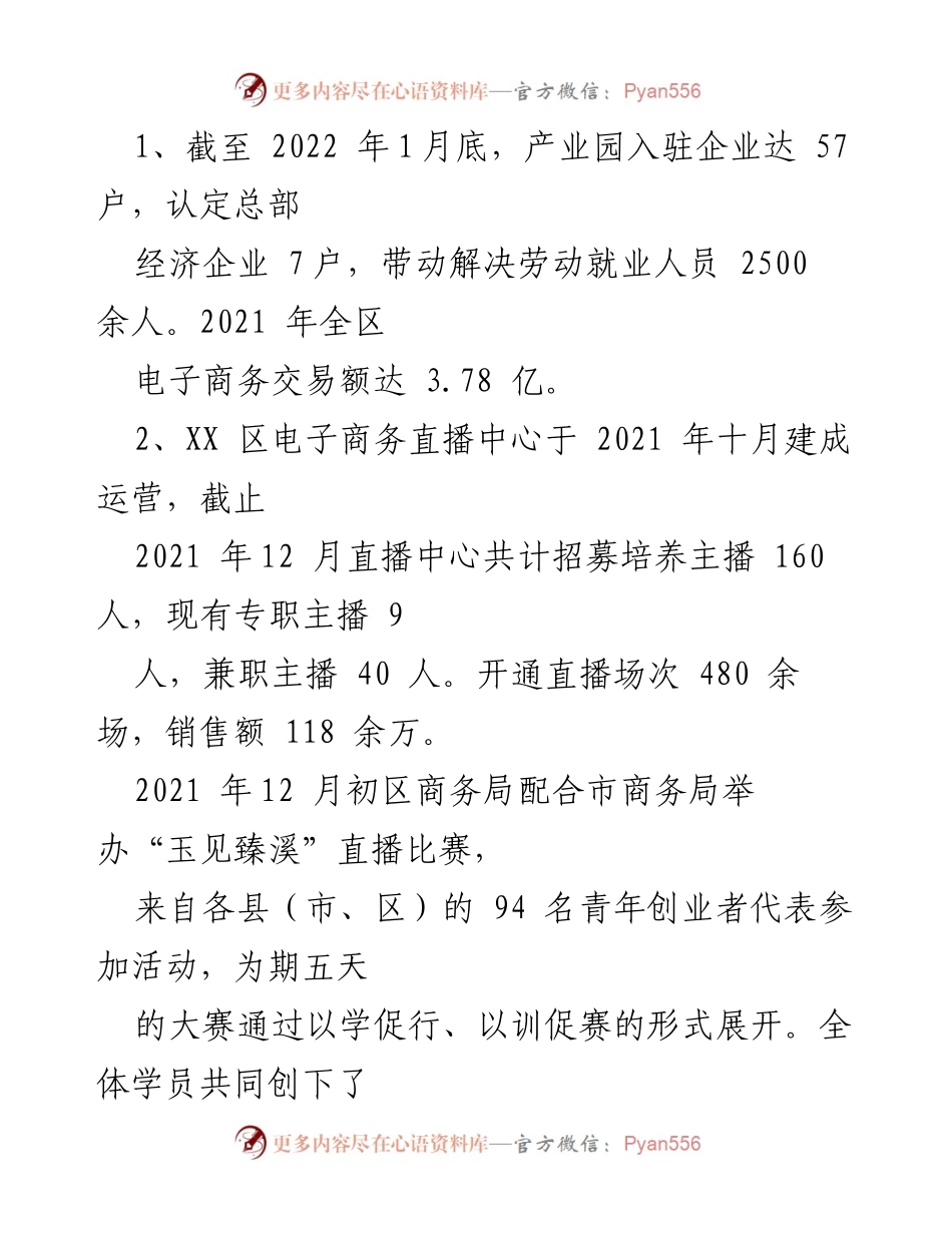[工作总结] 电子商务示范产业园运营 - XX 区电子商务示范产业园运营现状及发展建议.docx_第2页