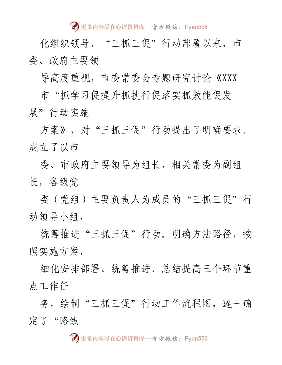 [工作总结] 省市“三抓三促”行动动员部署会议 - XXX市“三抓三促”行动实施情况总结报告.docx_第2页