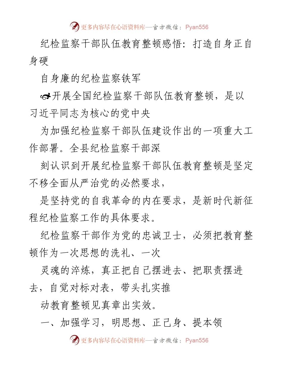 [工作总结] 纪检监察干部教育整顿 - 打造忠诚干净担当的纪检监察铁军.docx_第1页