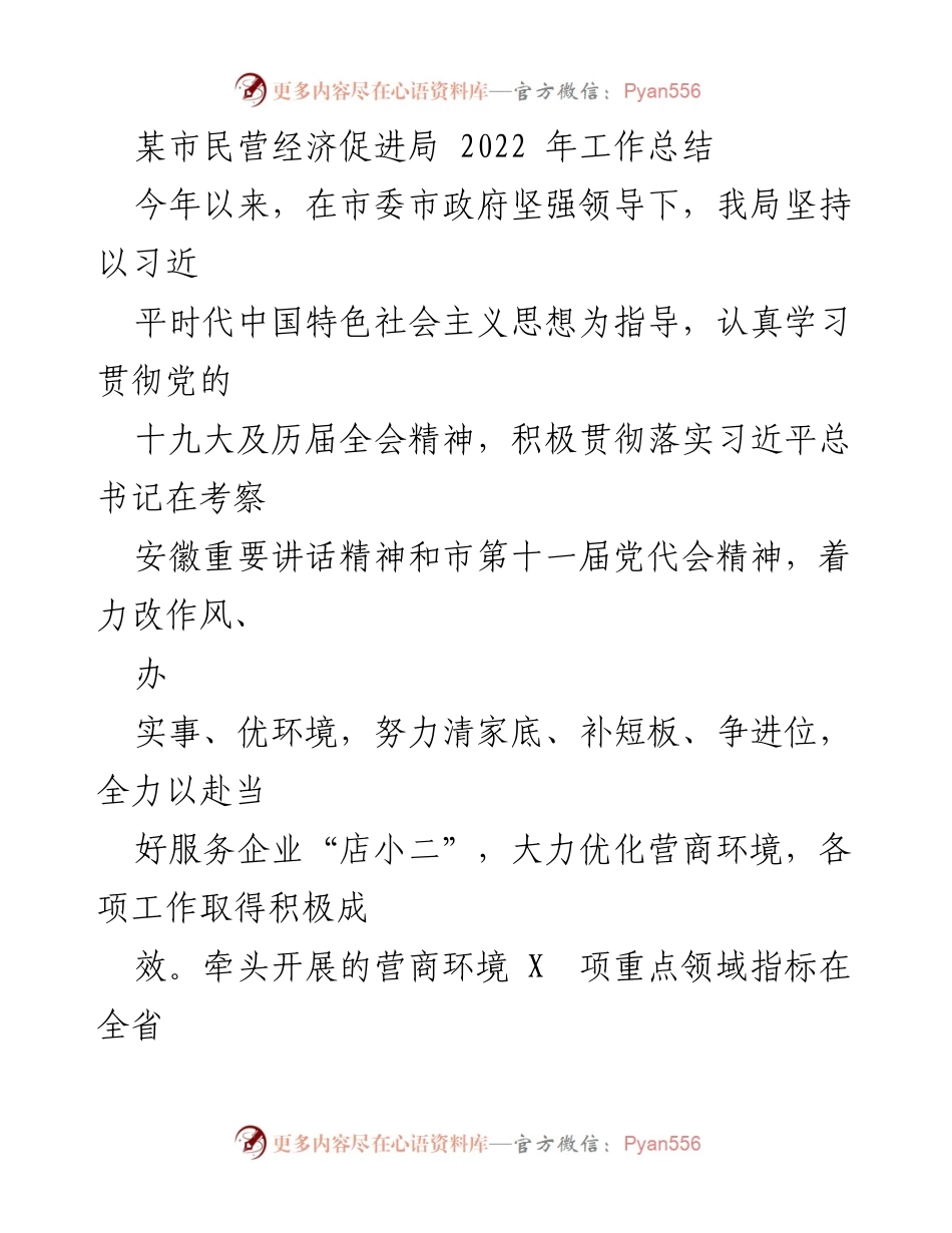 [工作总结] 某市民营经济促进局 - 2022年工作总结与营商环境优化成果.docx_第1页