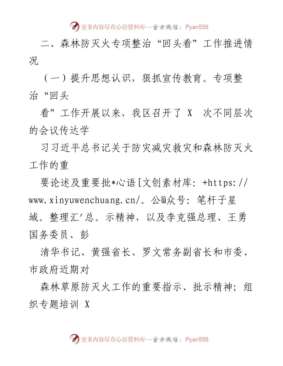 [工作总结] 森林防灭火专项整治 - 森林防灭火常态化治理工作总结与回头看检视报告.docx_第2页