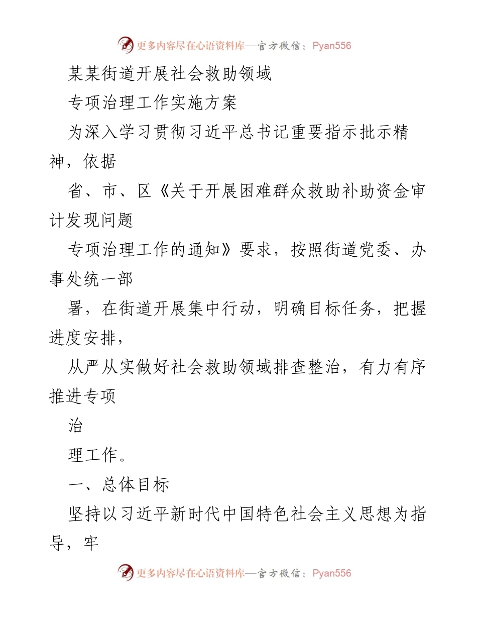[工作总结] 社会救助领域 - 社会救助领域专项治理工作实施方案.docx_第1页