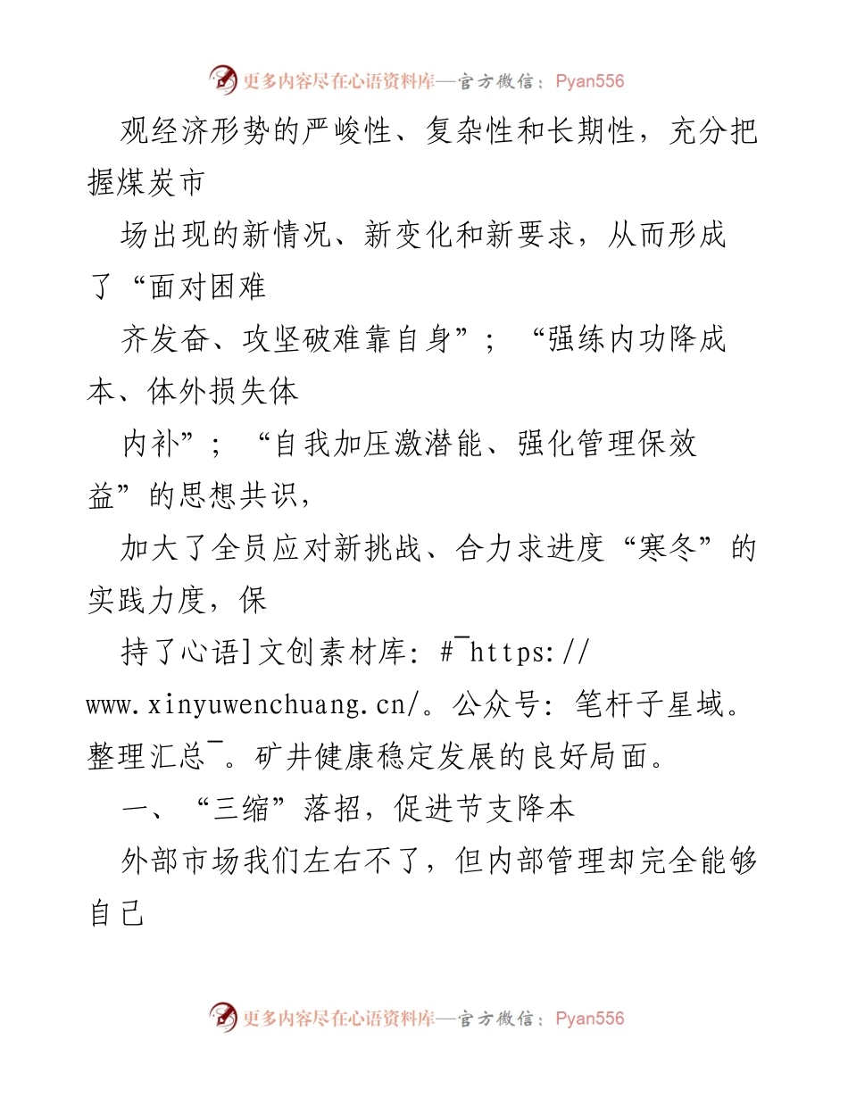 [工作总结] 煤炭行业 - 应对经济挑战的降本降耗措施与实践.docx_第2页