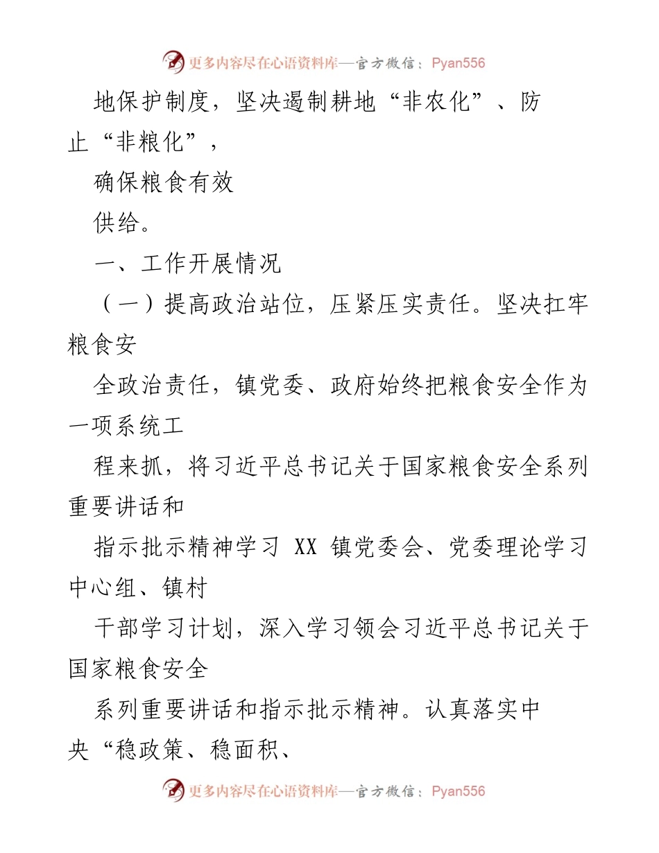 [工作总结] 粮食安全责任制落实 - XXX镇粮食安全责任制落实工作总结.docx_第2页