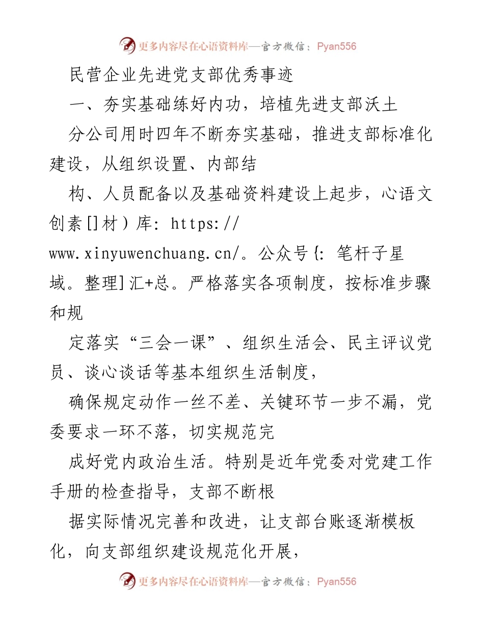 [工作总结] 民营企业党支部 - 民营企业党支部建设与发展优秀事迹总结.docx_第1页