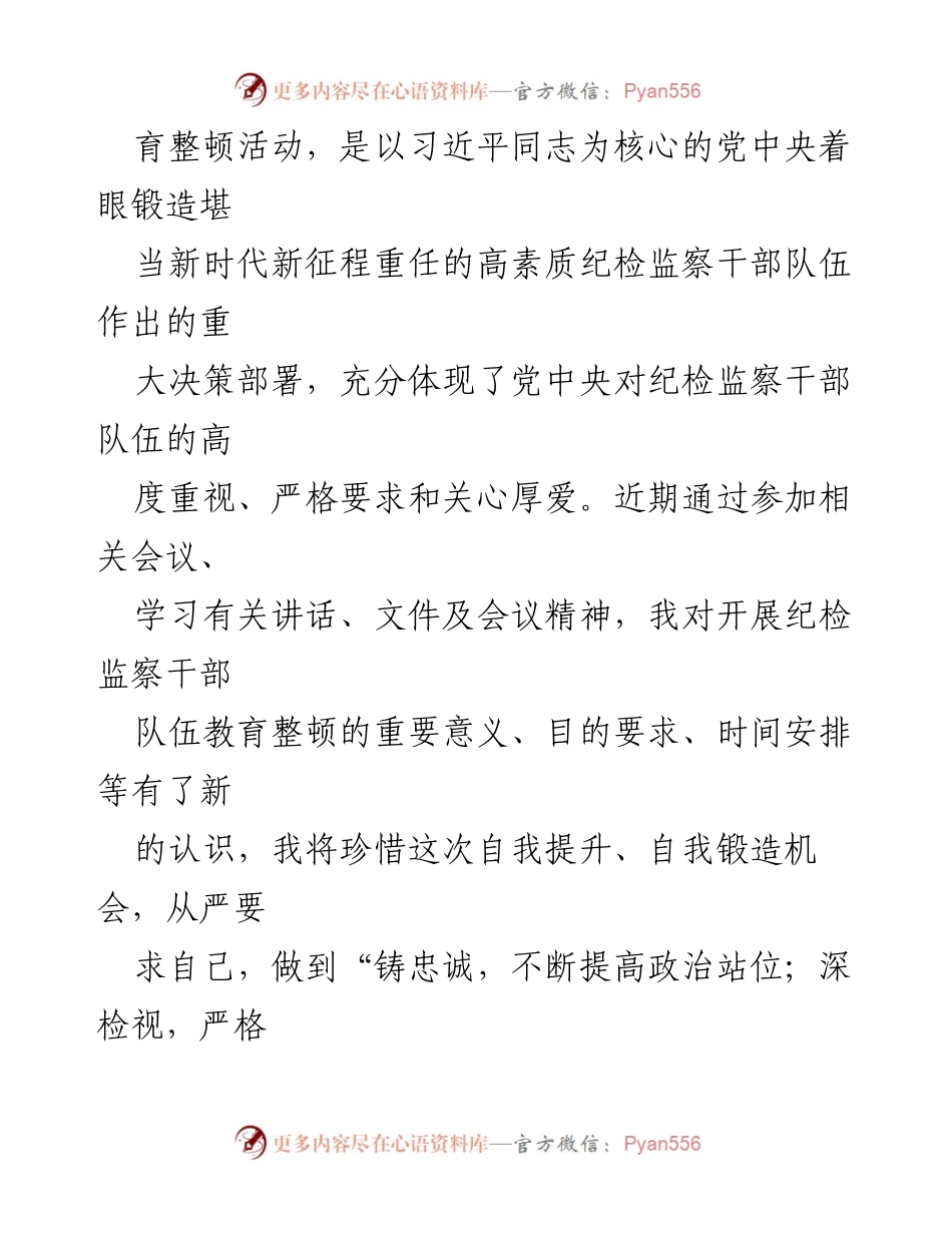 [工作总结] 纪检监察干部教育整顿 - 2023年纪检监察干部教育整顿个人检视剖析报告.docx_第2页