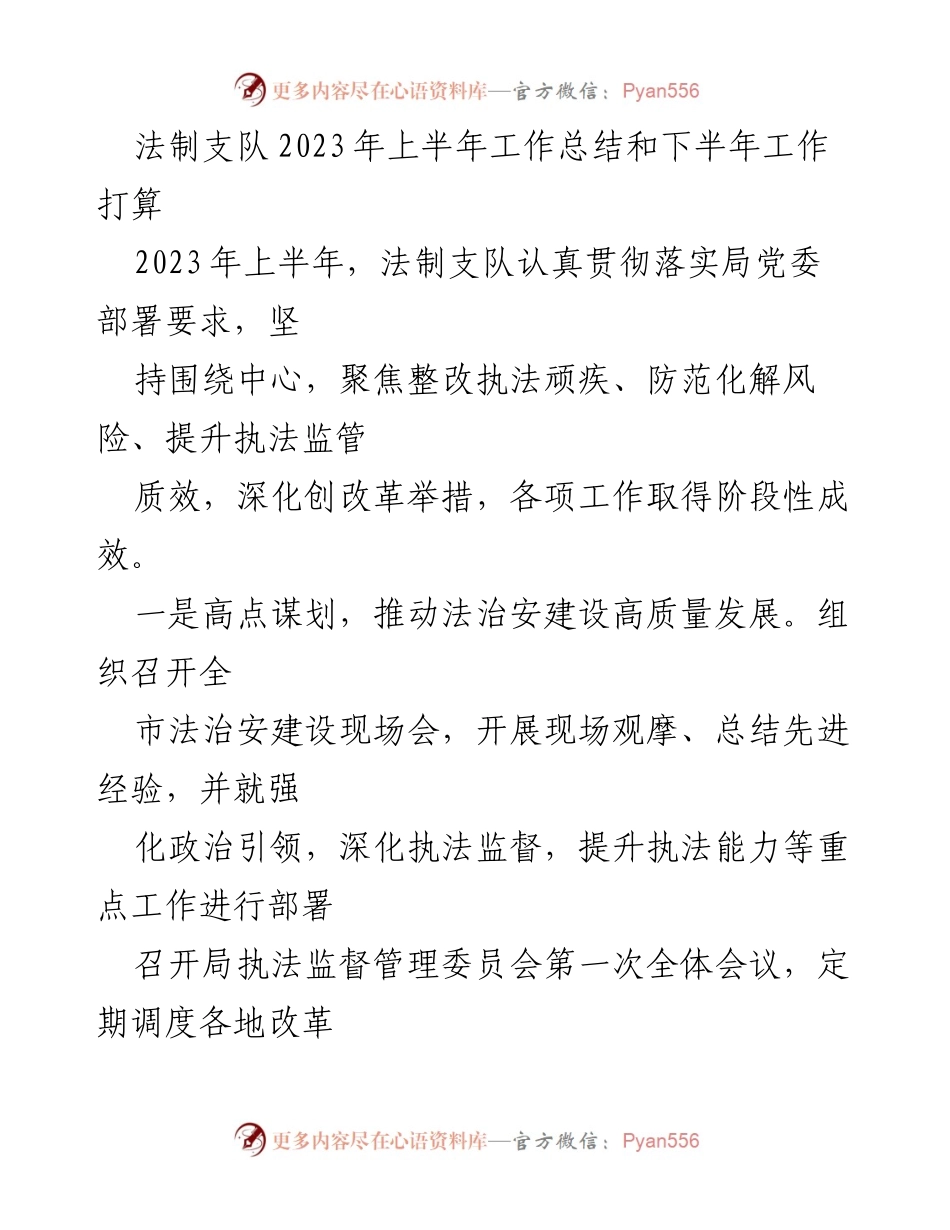 [工作总结] 法制支队 - 2023年上半年工作总结与下半年工作计划.docx_第1页