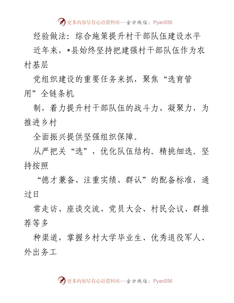 [工作总结] 村干部队伍建设 - 提升村干部队伍建设水平的综合措施与成效.docx_第1页