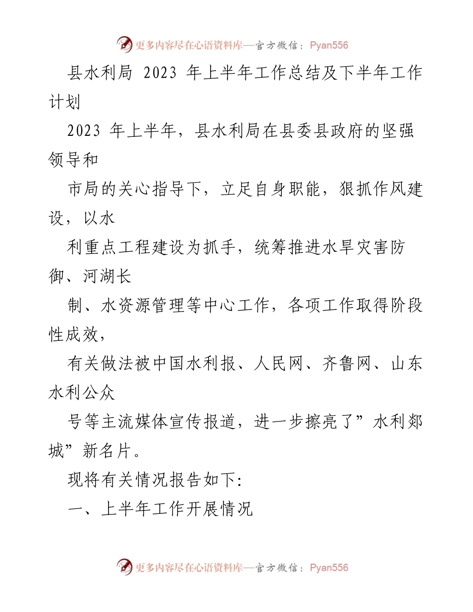 [工作总结] 水利局 - 2023年上半年工作总结与下半年工作计划_1.docx_第1页