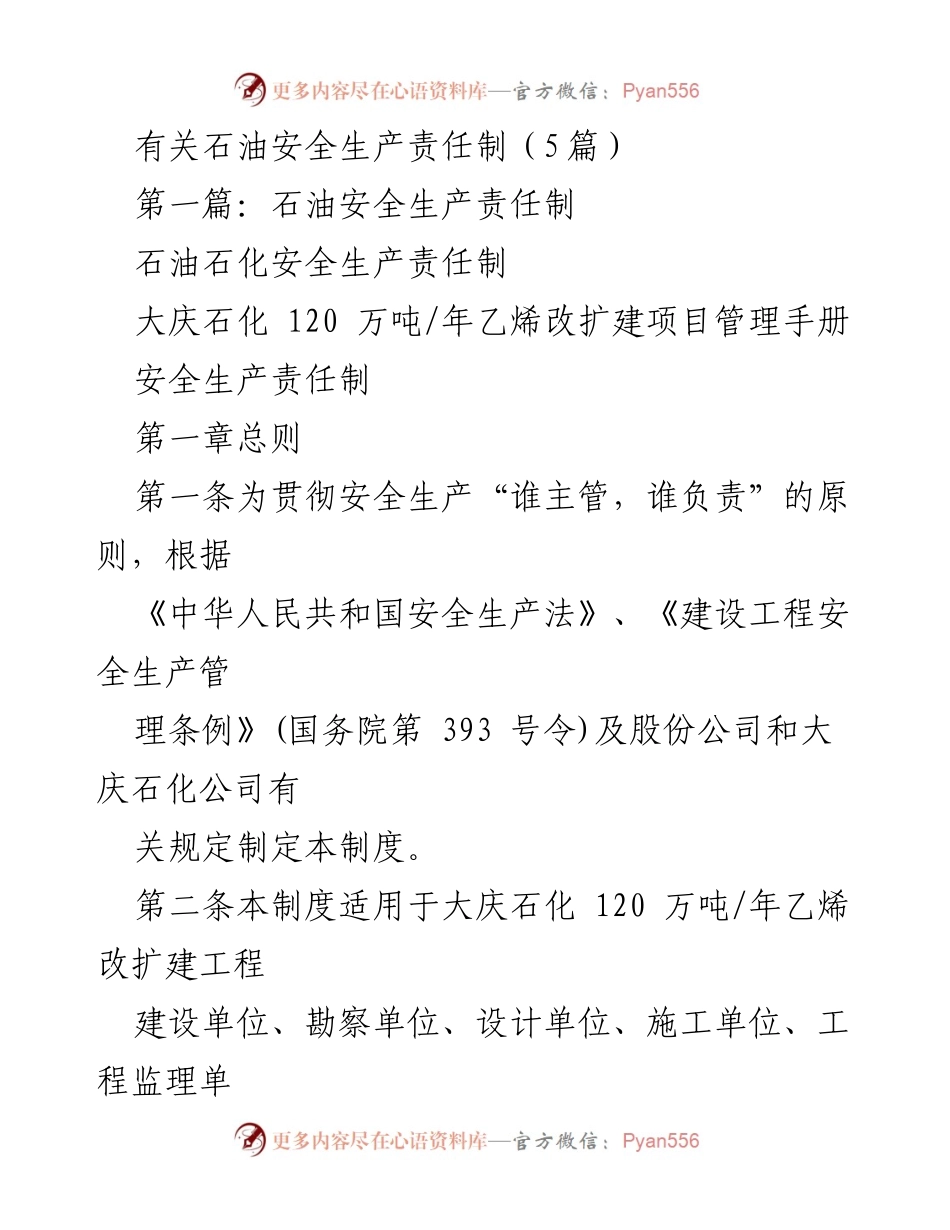 [工作总结] 石油行业 - 大庆石化乙烯改扩建项目安全生产责任制实施总结.docx_第1页