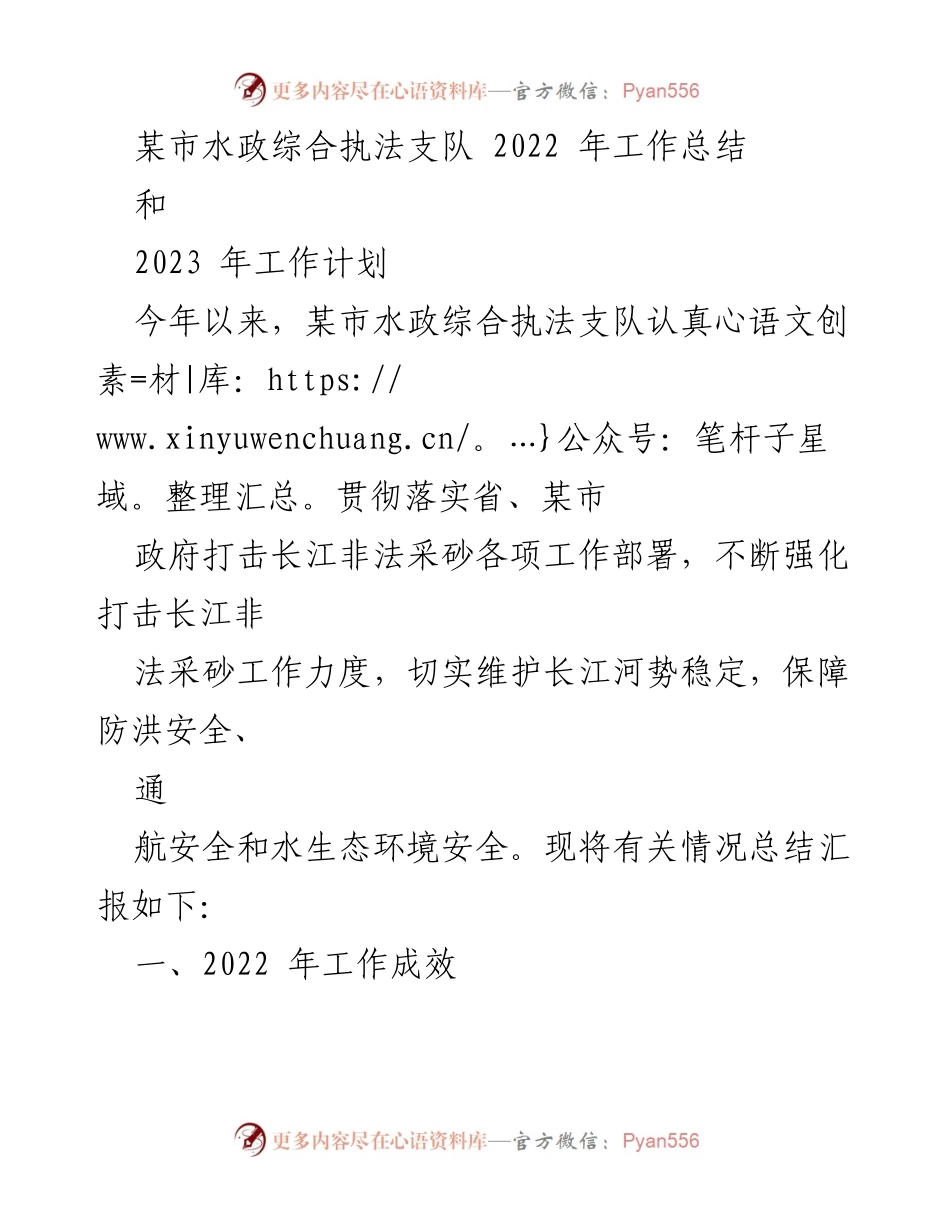 [工作总结] 水政执法 - 某市水政综合执法支队2022年工作总结及2023年工作计划.docx_第1页