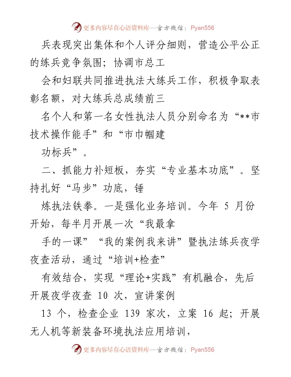 [工作总结] 生态环境执法 - 加强生态环境执法队伍能力建设的工作总结.docx_第2页