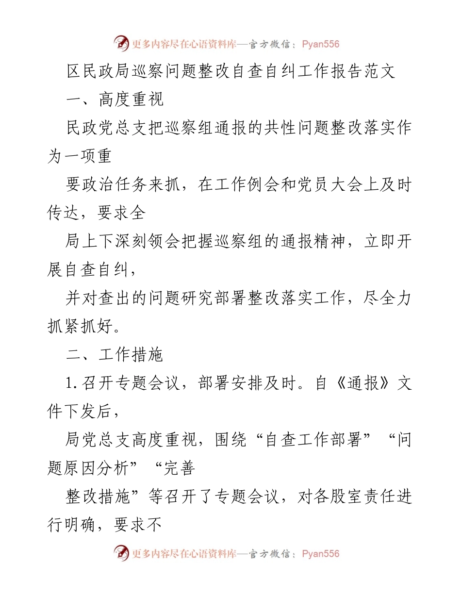 [工作总结] 民政局巡察整改 - 民政局巡察问题整改自查自纠工作报告.docx_第1页